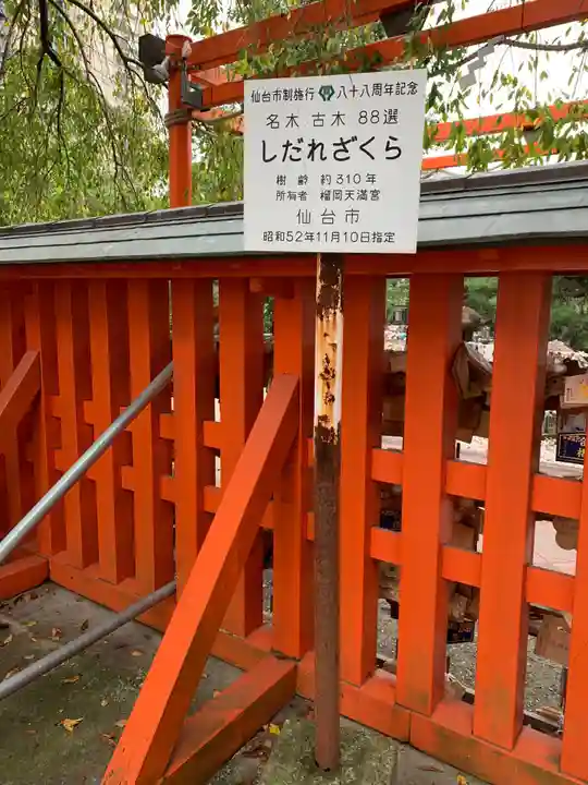 榴岡天満宮のその他建物