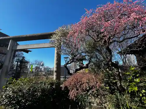 五條天神社(東京都)