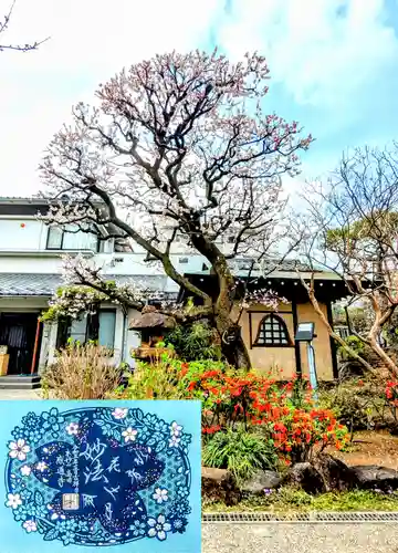 感通寺の御朱印