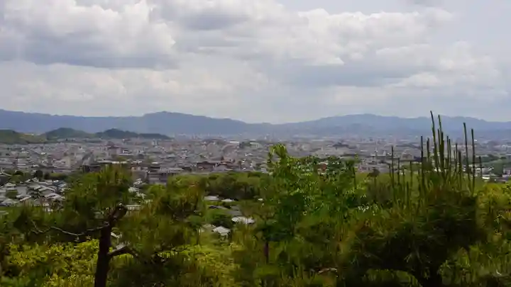 常寂光寺(京都府)