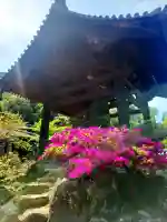 興聖寺(興聖寶林禅寺)の{uncategorized: "未分類", other: "その他", undefined: "問題あり", building: "その他建物", grave: "お墓", sacred_gate: "鳥居", guardian: "狛犬", statue: "像", buddha: "仏像", history: "歴史", nature: "自然", garden: "庭園", animal: "動物", pagoda: "塔", temizu: "手水舎", mountain_gate: "山門・神門", sanctuary: "本殿・本堂", subordinate: "末社・摂社", art: "芸術", scenery: "景色", jizo: "地蔵", ema: "絵馬", goshuin: "御朱印", omikuji: "おみくじ", items: "授与品その他", amulet: "お守り", goshuincho: "御朱印帳", eats: "食事", festival: "お祭り", votive_dance: "神楽", shichigosan: "七五三参", wedding: "結婚式", experience: "体験その他", initially: "初詣", around: "周辺", anti_infection: "感染症対策"}