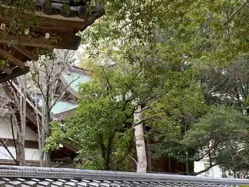 大窪八幡宮(兵庫県)