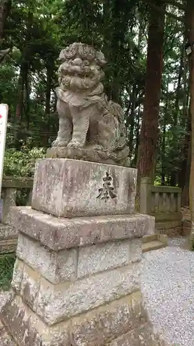 間々田八幡宮の狛犬