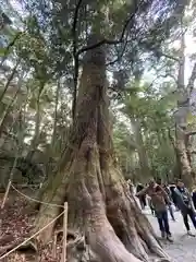 伊勢神宮内宮（皇大神宮）(三重県)