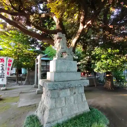上高田氷川神社の狛犬