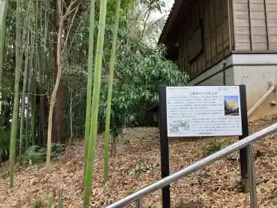 下総国三山　二宮神社の{uncategorized: "未分類", other: "その他", undefined: "問題あり", building: "その他建物", grave: "お墓", sacred_gate: "鳥居", guardian: "狛犬", statue: "像", buddha: "仏像", history: "歴史", nature: "自然", garden: "庭園", animal: "動物", pagoda: "塔", temizu: "手水舎", mountain_gate: "山門・神門", sanctuary: "本殿・本堂", subordinate: "末社・摂社", art: "芸術", scenery: "景色", jizo: "地蔵", ema: "絵馬", goshuin: "御朱印", omikuji: "おみくじ", items: "授与品その他", amulet: "お守り", goshuincho: "御朱印帳", eats: "食事", festival: "お祭り", votive_dance: "神楽", shichigosan: "七五三参", wedding: "結婚式", experience: "体験その他", initially: "初詣", around: "周辺", anti_infection: "感染症対策"}