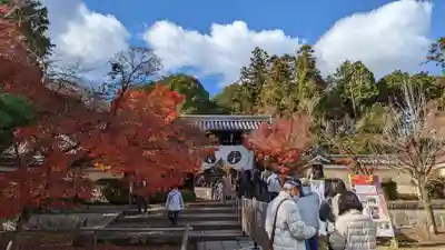 光明寺（粟生光明寺）(京都府)