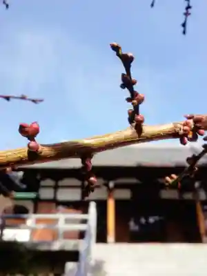 玄国寺(東京都)