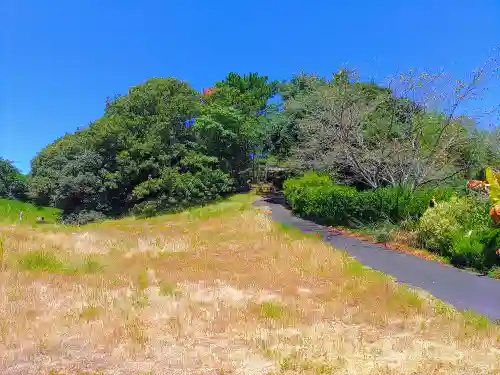 神明社（神明津砂原）の自然