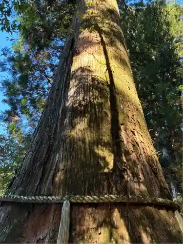 箱根神社(神奈川県)