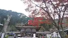 松尾大社の建物その他