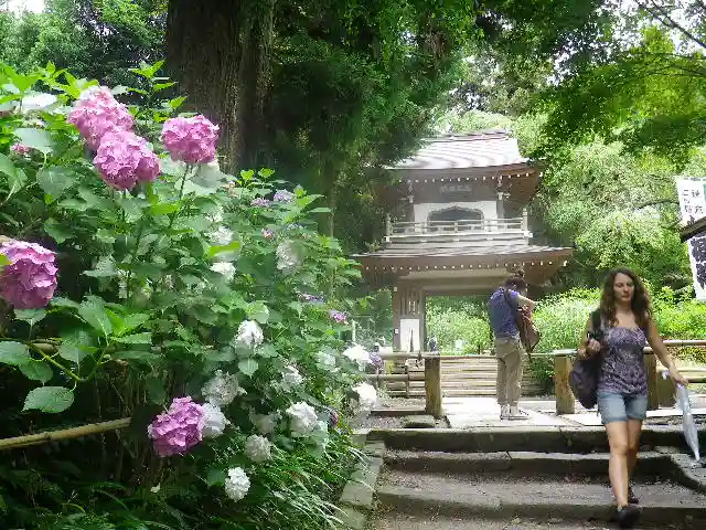 浄智寺の山門・神門