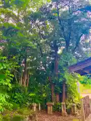 小坂熊野神社(茨城県)