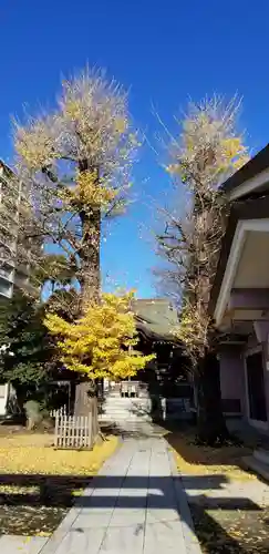 青砥神社の自然