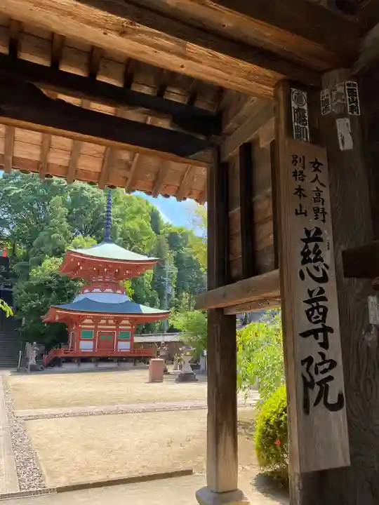 慈尊院の山門・神門