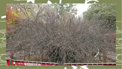 冠稲荷神社(群馬県)