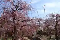 防府天満宮(山口県)