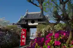 法雲寺の山門