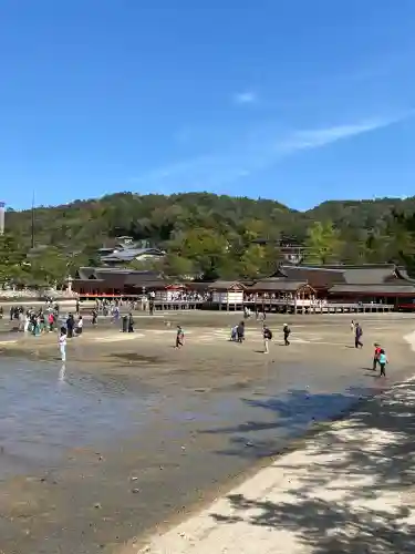 厳島神社の{uncategorized: "未分類", other: "その他", undefined: "問題あり", building: "その他建物", grave: "お墓", sacred_gate: "鳥居", guardian: "狛犬", statue: "像", buddha: "仏像", history: "歴史", nature: "自然", garden: "庭園", animal: "動物", pagoda: "塔", temizu: "手水舎", mountain_gate: "山門・神門", sanctuary: "本殿・本堂", subordinate: "末社・摂社", art: "芸術", scenery: "景色", jizo: "地蔵", ema: "絵馬", goshuin: "御朱印", omikuji: "おみくじ", items: "授与品その他", amulet: "お守り", goshuincho: "御朱印帳", eats: "食事", festival: "お祭り", votive_dance: "神楽", shichigosan: "七五三参", wedding: "結婚式", experience: "体験その他", initially: "初詣", around: "周辺", anti_infection: "感染症対策"}