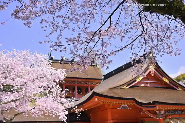 富士山本宮浅間大社(静岡県)