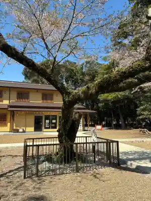 息栖神社の{uncategorized: "未分類", other: "その他", undefined: "問題あり", building: "その他建物", grave: "お墓", sacred_gate: "鳥居", guardian: "狛犬", statue: "像", buddha: "仏像", history: "歴史", nature: "自然", garden: "庭園", animal: "動物", pagoda: "塔", temizu: "手水舎", mountain_gate: "山門・神門", sanctuary: "本殿・本堂", subordinate: "末社・摂社", art: "芸術", scenery: "景色", jizo: "地蔵", ema: "絵馬", goshuin: "御朱印", omikuji: "おみくじ", items: "授与品その他", amulet: "お守り", goshuincho: "御朱印帳", eats: "食事", festival: "お祭り", votive_dance: "神楽", shichigosan: "七五三参", wedding: "結婚式", experience: "体験その他", initially: "初詣", around: "周辺", anti_infection: "感染症対策"}