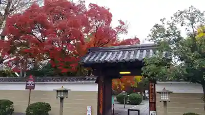 大報恩寺(千本釈迦堂)の山門・神門