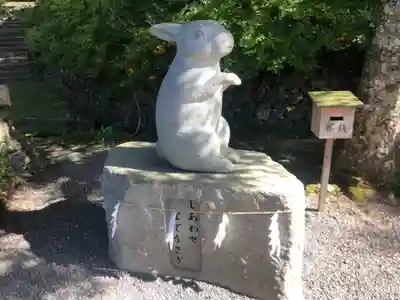 出雲大神宮の狛犬