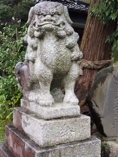 金比羅宮天満宮天神社の狛犬