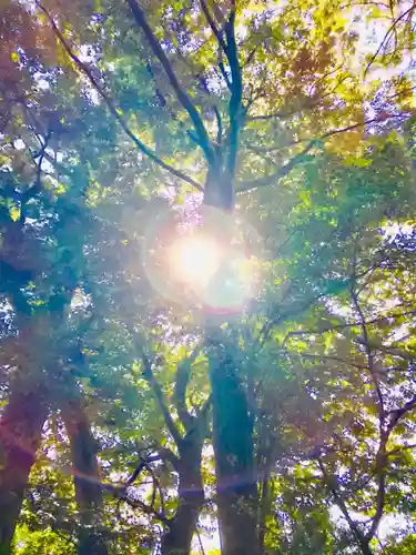 成田熊野神社の自然