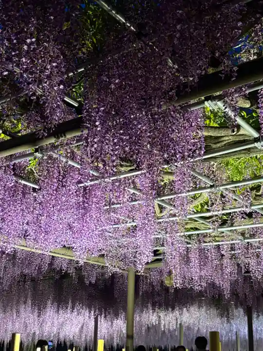 津島神社(愛知県)