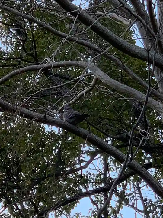寒川神社のその他建物
