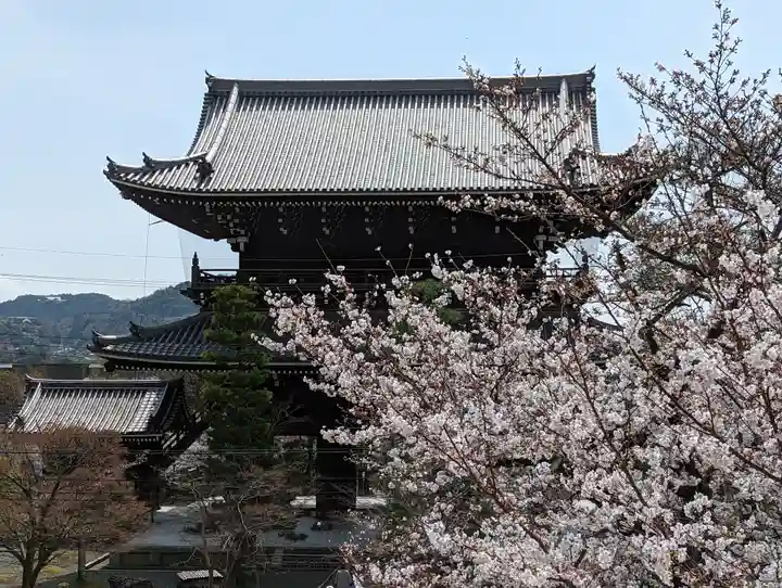 くろ谷 金戒光明寺(京都府)