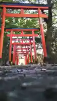 尾曳稲荷神社の鳥居