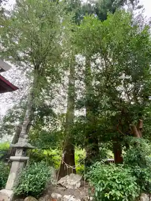 山國神社(京都府)