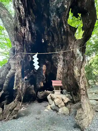 來宮神社(静岡県)