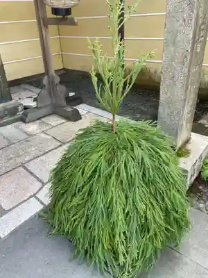 普門院(和歌山県)