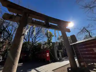 稲毛神社(神奈川県)