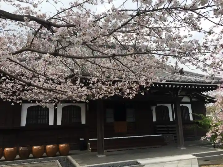 泥牛庵の本殿・本堂