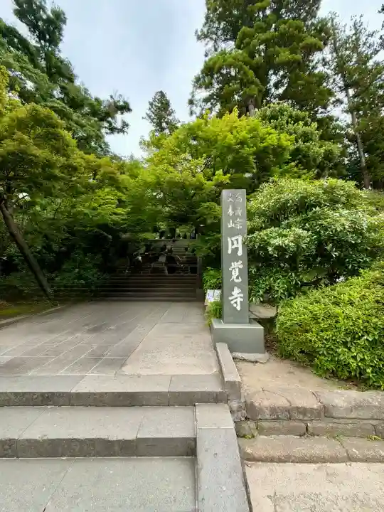 円覚寺の{uncategorized: "未分類", other: "その他", undefined: "問題あり", building: "その他建物", grave: "お墓", sacred_gate: "鳥居", guardian: "狛犬", statue: "像", buddha: "仏像", history: "歴史", nature: "自然", garden: "庭園", animal: "動物", pagoda: "塔", temizu: "手水舎", mountain_gate: "山門・神門", sanctuary: "本殿・本堂", subordinate: "末社・摂社", art: "芸術", scenery: "景色", jizo: "地蔵", ema: "絵馬", goshuin: "御朱印", omikuji: "おみくじ", items: "授与品その他", amulet: "お守り", goshuincho: "御朱印帳", eats: "食事", festival: "お祭り", votive_dance: "神楽", shichigosan: "七五三参", wedding: "結婚式", experience: "体験その他", initially: "初詣", around: "周辺", anti_infection: "感染症対策"}