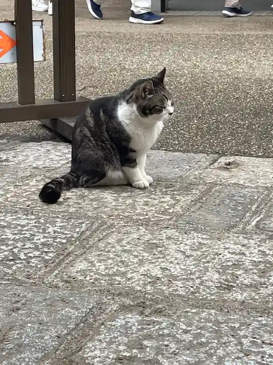 円覚寺(神奈川県)