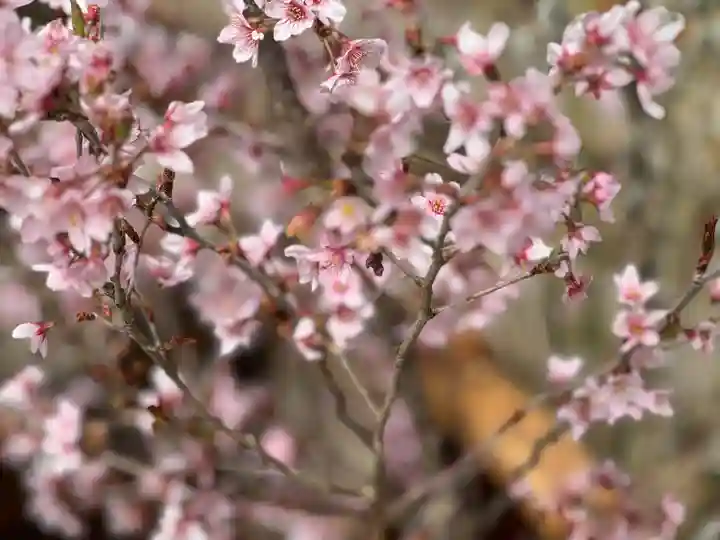 阿邪訶根神社(福島県)
