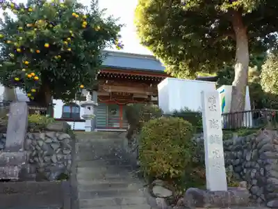 瑠璃光寺の本殿・本堂