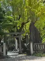 牛嶋神社の{uncategorized: "未分類", other: "その他", undefined: "問題あり", building: "その他建物", grave: "お墓", sacred_gate: "鳥居", guardian: "狛犬", statue: "像", buddha: "仏像", history: "歴史", nature: "自然", garden: "庭園", animal: "動物", pagoda: "塔", temizu: "手水舎", mountain_gate: "山門・神門", sanctuary: "本殿・本堂", subordinate: "末社・摂社", art: "芸術", scenery: "景色", jizo: "地蔵", ema: "絵馬", goshuin: "御朱印", omikuji: "おみくじ", items: "授与品その他", amulet: "お守り", goshuincho: "御朱印帳", eats: "食事", festival: "お祭り", votive_dance: "神楽", shichigosan: "七五三参", wedding: "結婚式", experience: "体験その他", initially: "初詣", around: "周辺", anti_infection: "感染症対策"}