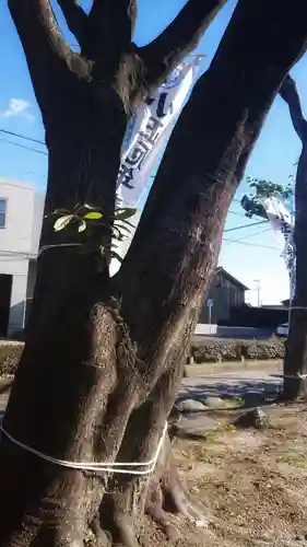 正明神社の自然