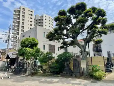 世尊寺(東京都)