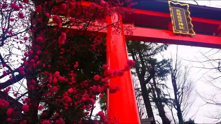馬橋稲荷神社の鳥居