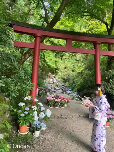 岡寺（龍蓋寺）(奈良県)