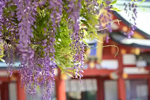 日枝神社の自然
