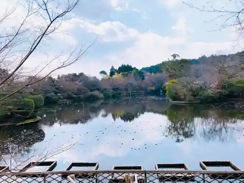 龍安寺の庭園