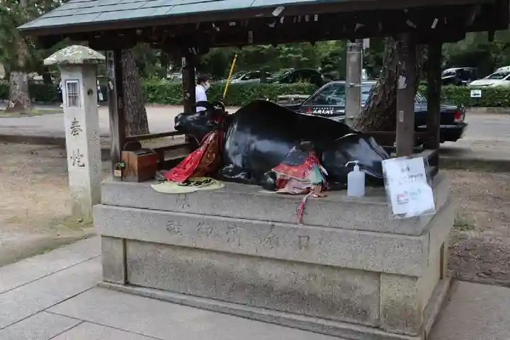 北野天満宮の狛犬
